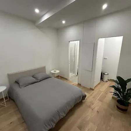 Appartement Le Magnifique, Hyper Centre à Toulouse Extérieur photo